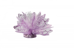 TULLE SPIDER D24CM LILAS/25