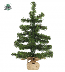 SAPIN 41 BRANCHES 45 CMS