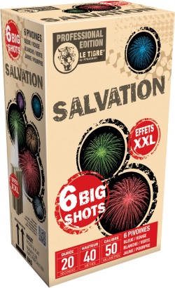 COMPACT SALVATION 6 COUPS...